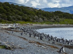 Expedição Fim do Mundo - Ushuaia - El Calafate - El Chalten - Bariloche - Argentina